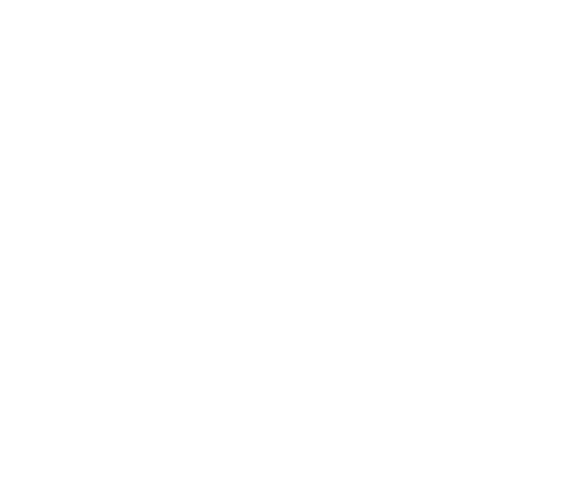 Fog & Light